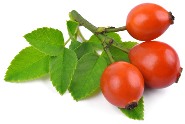 Katalógus vitaminok (vitaminok) katalógus vitaminok