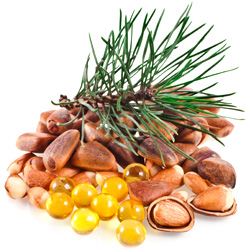 Katalógus vitaminok (A-vitamin van szüksége normál működés) katalógus vitaminok