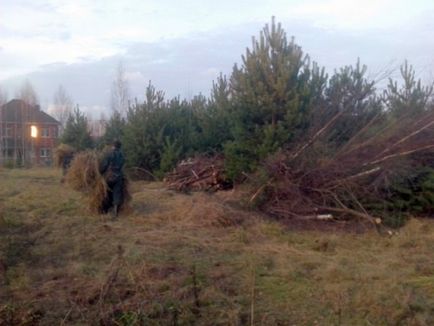 Területnyerés és talajtípusok leírása a fényképet (ami kell visszanyerése) Talajjavítás talajtani leírás Photo