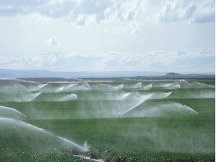 Talajjavítás és a talaj típusa leírása a fényképet (ami szükséges) Talajjavítás talajtani leírás Photo