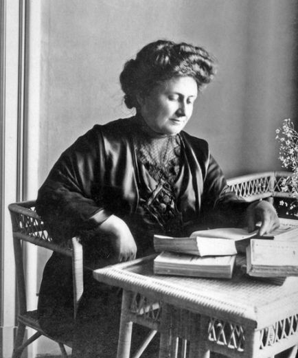 A technika a Maria Montessori (51 fotó), mi ez a rendszer a korai fejlesztés, játékok, anyagok (Montessori) A technika a Maria Montessori (51 fotó), mi ez a rendszer a korai fejlesztés, játékok, anyagok,