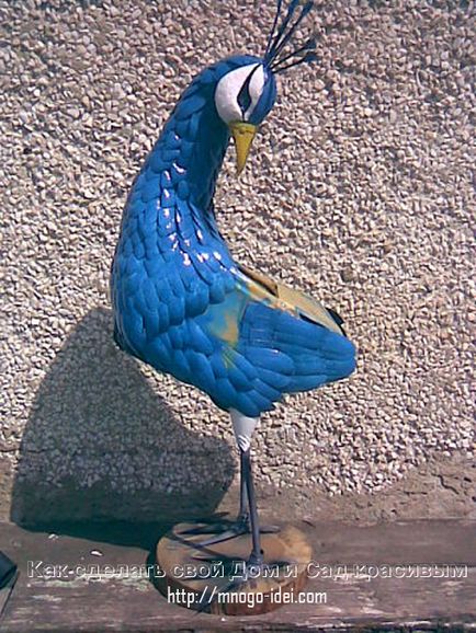 Peacock mesterkurzus