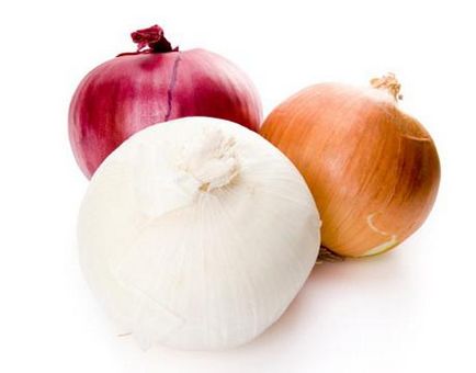 Színpadra etetés hagyma (vöröshagyma öltözködés öltöző hagyma öntet íj tavasz) Fokozatos etetése hagyma