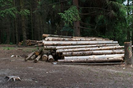 Papír előállítására, hogyan lehet papír (a papír készült ókor) Papír előállítására, hogyan lehet papírt