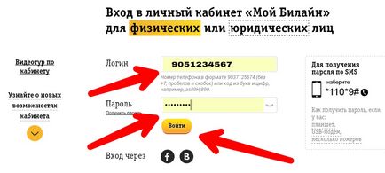 Tedd a Beeline ingyen részletes számlát (légvonalban) Tedd a Beeline ingyen részletes számla