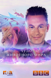Lásd sorozat Hellcat szabad online jó minőségben (pokoli) Lásd sorozat Hellcat szabad online jó minőségben
