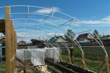 Sunny bio vegetary kezük (saját) Sunny bio vegetary saját kezűleg