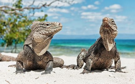 Esküvői turizmus; A legjobb hely egy esküvő külföldön