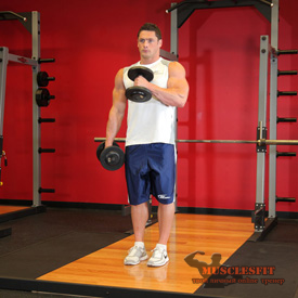 Gyakorlat bicepsz kalapács, musclesfit (kalapács) Gyakorlat bicepsz kalapács, musclesfit