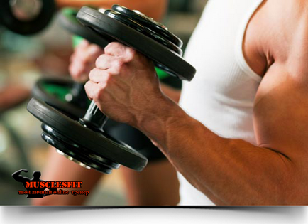 Gyakorlat bicepsz kalapács, musclesfit (testmozgás bicepsz kalapács) Gyakorlat bicepsz kalapács, musclesfit