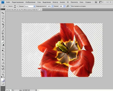 Lessons photoshop (Photoshop) photoshop tutorials