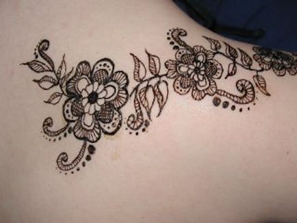 Minden a rajz henna otthon (home) Mindent a hennafestés otthon