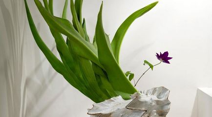 Azt akarom, hogy dekorációk a ház saját kezével kezdeni (valami) Azt akarom, hogy dekorációk a ház saját kezével kezdeni