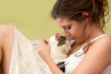 5 Ways, hogy gyengéd macska - macska körül