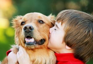Allergia kutyáknak gyermekek okoz, diagnózis, kezelés, megelőzés