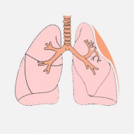 Tüdő atelectasia okok, tünetek, kezelés