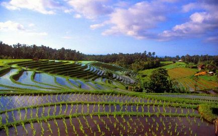Bali - ez az, ami olyan országban, ahol van egy Bali (ország) Bali - egy ország, ahol mi bali