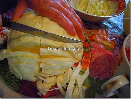 Bigus (Bigos) fényképes csirke, ízletes főzni maguknak (bigos) Bigus (Bigos) fényképes csirke, ízletes szakács magát