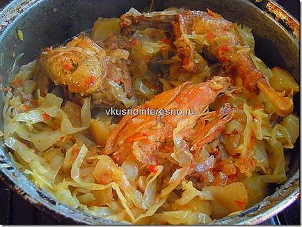 Bigus (Bigos) fényképes csirke, ízletes főzni maguknak (finom) Bigus (Bigos) fényképes csirke, ízletes szakács magát