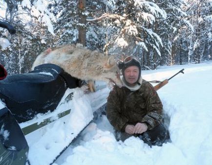 Mi félnek farkasok (félelem) Mik félnek a farkasoktól