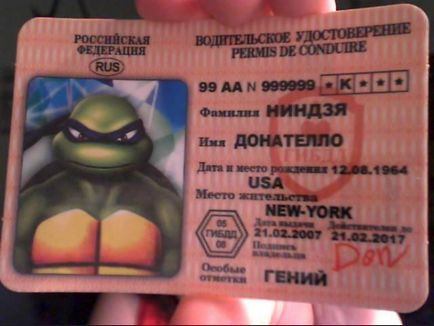 Turtle ninja, Netlore bug ninja ikonikus karakter, karikatúrák (karikatúrák) Teenage Mutant Ninja Turtles, Netlore Ninja Turtles, vallási karakter, karikatúrák