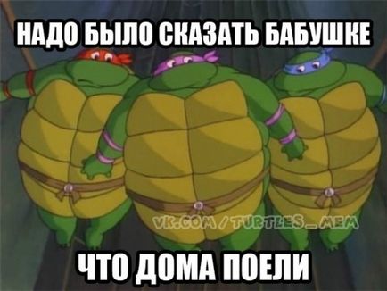 Turtle ninja, Netlore bug ninja ikonikus karakter, karikatúrák (karikatúrák) Teenage Mutant Ninja Turtles, Netlore Ninja Turtles, vallási karakter, karikatúrák