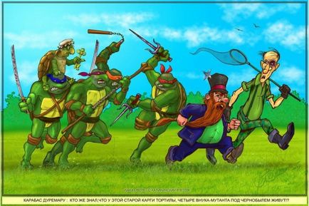 Turtle ninja, Netlore bug ninja ikonikus karakter, karikatúrák (ikonikus karakter) Teenage Mutant Ninja Turtles, Netlore Ninja Turtles, vallási karakter, karikatúrák
