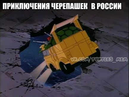 Turtle ninja, Netlore bug ninja ikonikus karakter, karikatúrák (ikonikus karakter) Teenage Mutant Ninja Turtles, Netlore Ninja Turtles, vallási karakter, karikatúrák