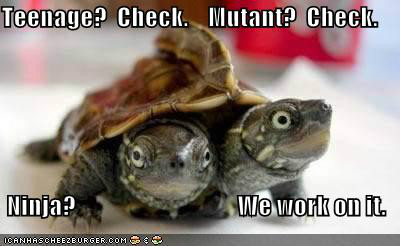 Turtle ninja, Netlore bug ninja ikonikus karakter, karikatúrák (ikonikus karakter) Teenage Mutant Ninja Turtles, Netlore Ninja Turtles, vallási karakter, karikatúrák