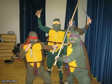 Turtle ninja, Netlore bug ninja ikonikus karakter, karikatúrák (karikatúrák) Teenage Mutant Ninja Turtles, Netlore Ninja Turtles, vallási karakter, karikatúrák