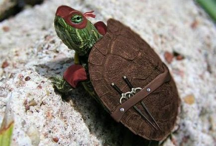 Turtle ninja, Netlore bug ninja ikonikus karakter, karikatúrák (Bug ninja) Teenage Mutant Ninja Turtles, Netlore Ninja Turtles, vallási karakter, karikatúrák