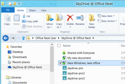 Mi SkyDrive Pro (a) Mi SkyDrive pro