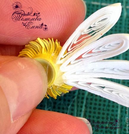 Készíts egy százszorszép a technika Quilling - Fair Masters - kézzel készített, kézzel készített (Quilling eszköz) Készíts egy százszorszép a technika Quilling - Fair Masters - kézzel készített, kézzel készített