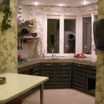 Tervezz egy kis konyha - 100 fotó ötleteket belsőépítészeti kis konyha