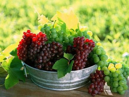 Házi bor a szőlő a legjobb recept lépésről lépésre részletesen (bor) Házi bor a szőlő a legjobb lépésről lépésre recept részletek
