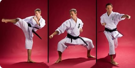 Érdekességek a karate - egy új hős (karate) Érdekességek a karate - egy új hős