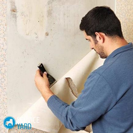Hogyan lehet gyorsan eltávolítani a tapéta a falak, serviceyard-kényelmes otthon kéznél