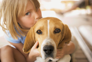 Hogy allergiás a kutya gyermekek tünetei és kezelése