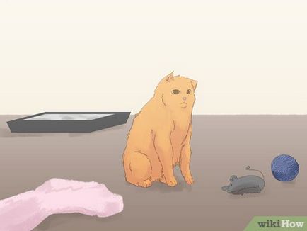 Hogy biztosítsuk, hogy a macska nem vizelt a szőnyegen