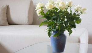 Hogyan kell tartani rózsák szobahőmérsékleten, hogy hogyan lehet a virágok hosszantartó állás, videók és fotók
