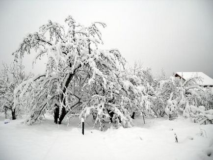 Hogyan lehet túlélni áram nélkül a havas falu