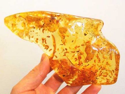 Amber stone és annak tulajdonságait érdekelt állatöv jel, szín és érték (tulajdonságok) Amber stone és annak tulajdonságait érdekelt állatöv jel, szín és érték