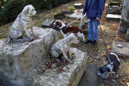 Temető kutyák Franciaországban
