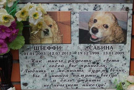 Pet temető Moszkva, a hivatalos kisállat temető fotó Khimki