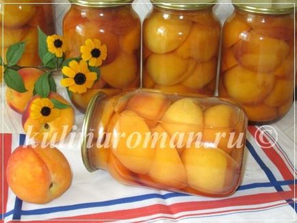 Az őszibarack konzerv a téli (sterilizálás nélküli recept), finom receptek (mely utóbbi vegyületeket őszibarack) Az őszibarack konzerv a téli (sterilizálás nélküli recept), finom receptek