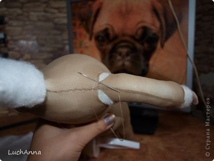 Puppet keret és a test (mini mikron), az ország mesterek (amelyek azt mutatják, a felvételi sáv) Puppet keret és a test (mini mikron), az ország mesterek