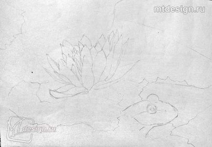 Lily akvarell ceruza, mtdesign (liliom) Tavirózsa akvarell ceruza, mtdesign