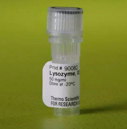 A lizozim - mi ez a gyógyszer lizozim használati utasítást, ár