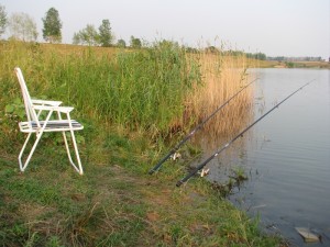 A fogási ponty nyáron