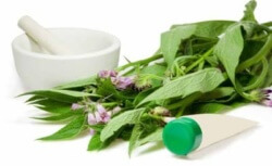 Comfrey készítmény, alkalmazás, receptek (összetétel) Comfrey készítmény, alkalmazás, receptek